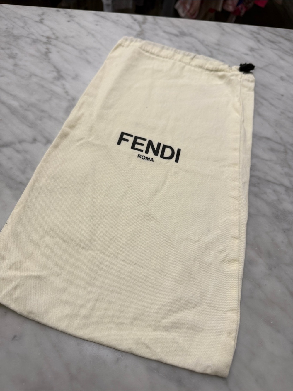 FENDI Designer Storage Bag Shoe Storage Sleeper Bag